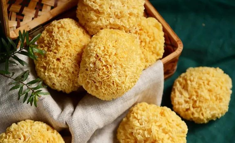 长寿老人多吃这六种食物,长寿老人必吃五种食物有哪些