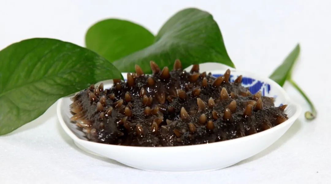 大连是哪座城市的,大连到底算几线城市