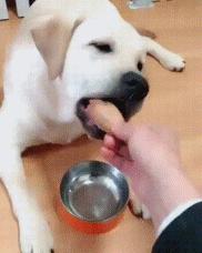 做服务员没口才,做服务员没有工作怎么办