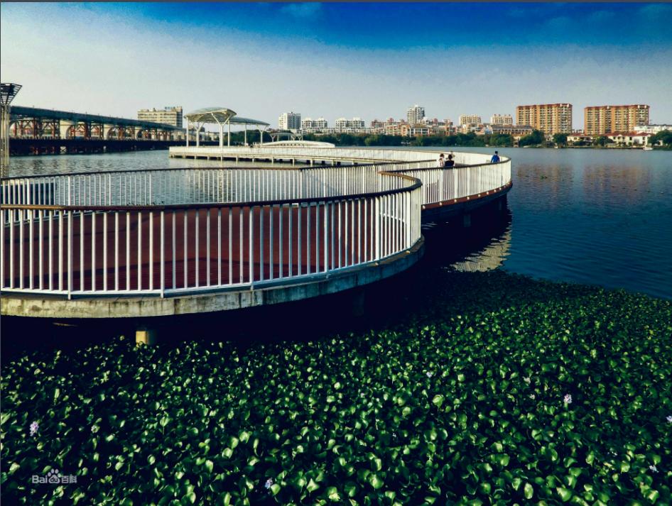 芜湖哪个县级市最强,芜湖与镇江实力对比