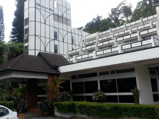 福隆港好吃美食推荐图片,马来西亚猪杂粥