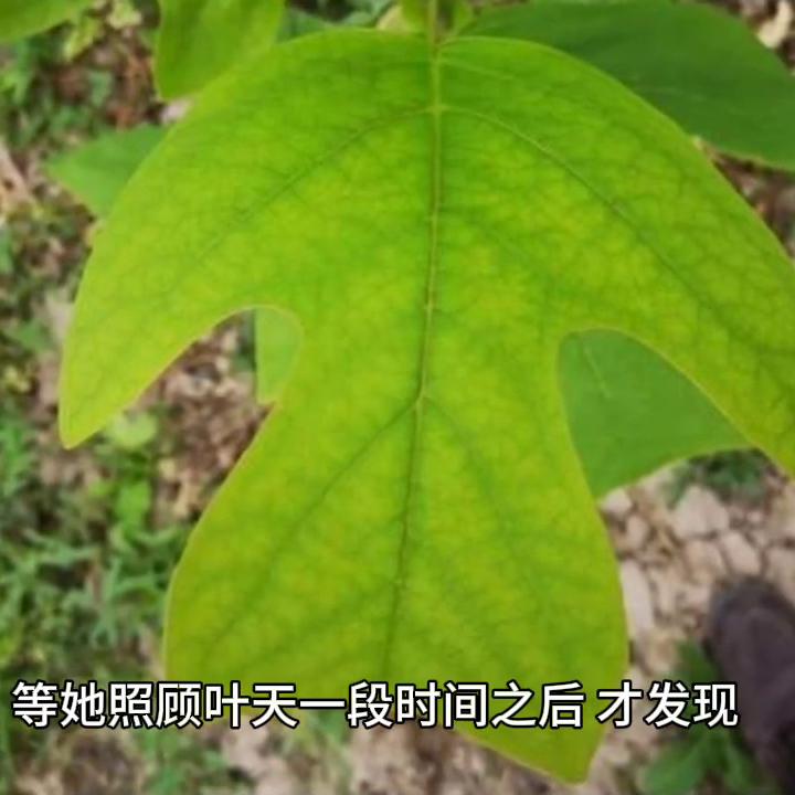 第四十二章全文,第四十二章讲解