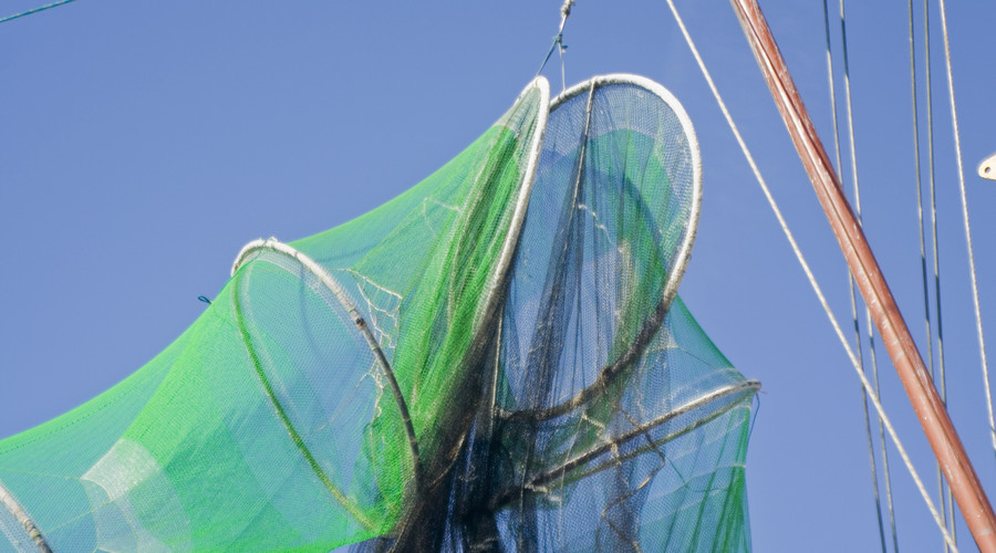 罗非鱼养殖条件和方法,农村罗非鱼养殖技术