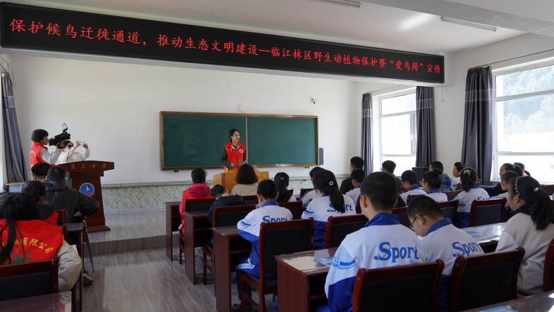 爱鸟周宣传标语大全,爱鸟周宣传