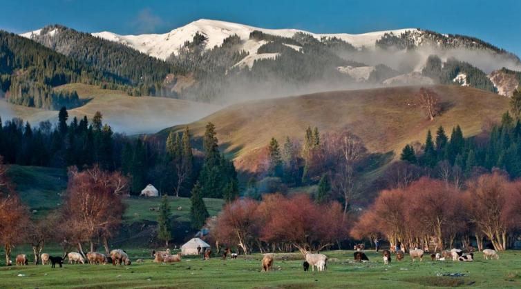 伊宁周边自驾二日游最佳路线推荐,伊宁周边旅游一日游自驾游