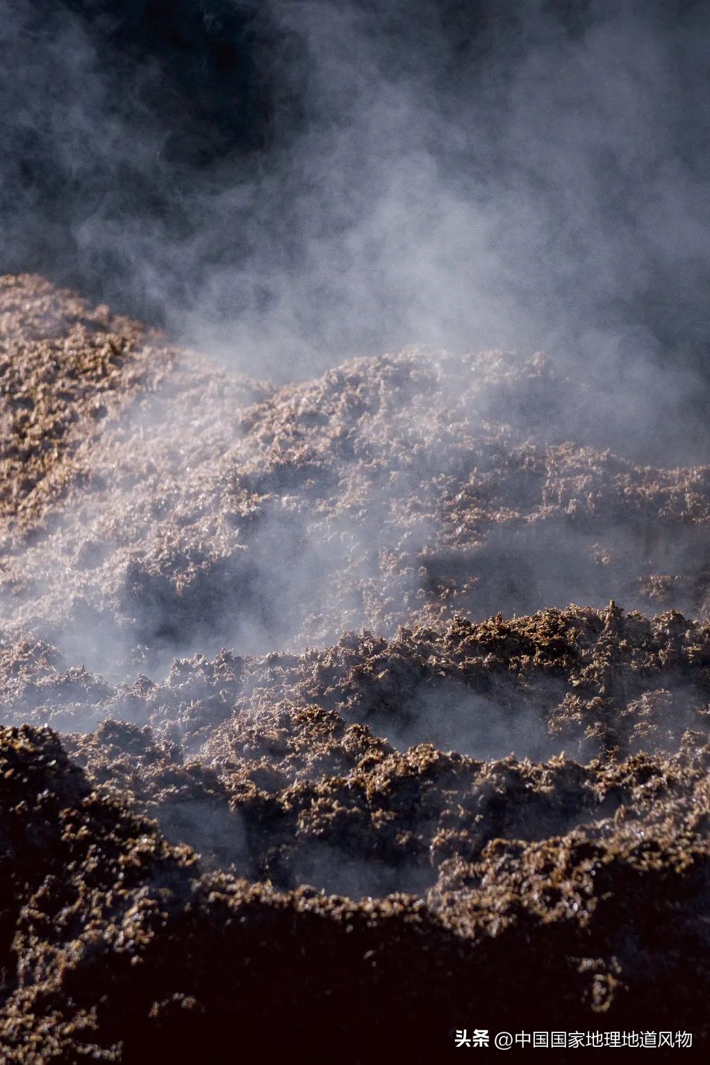 红高粱里的酒为什么是红的,红高粱里酒怎么是红的