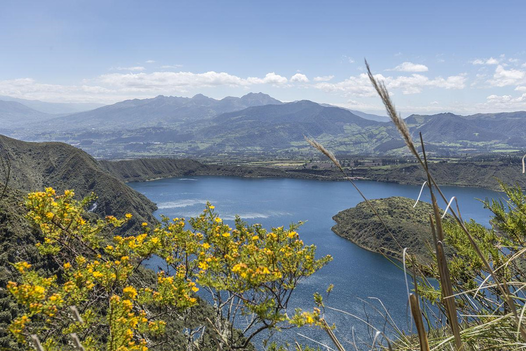 为出国女子嫁南美黑人，婚后悲惨多次逃跑，最后求助中国大使馆