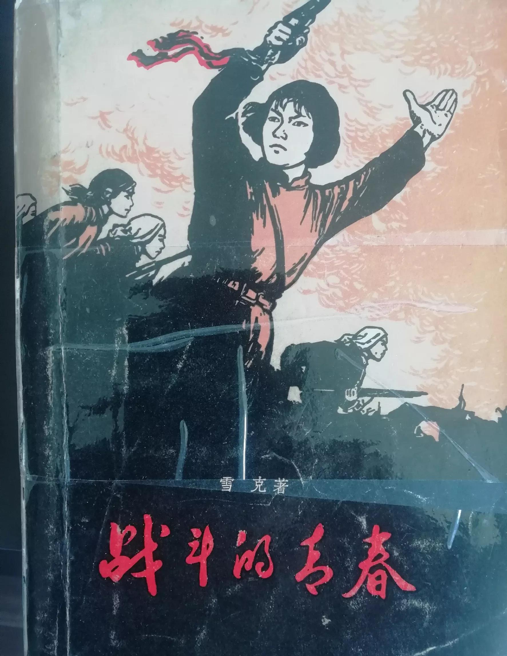 18岁那年为买《青春之歌》排队2次，人生之路由此飞跃