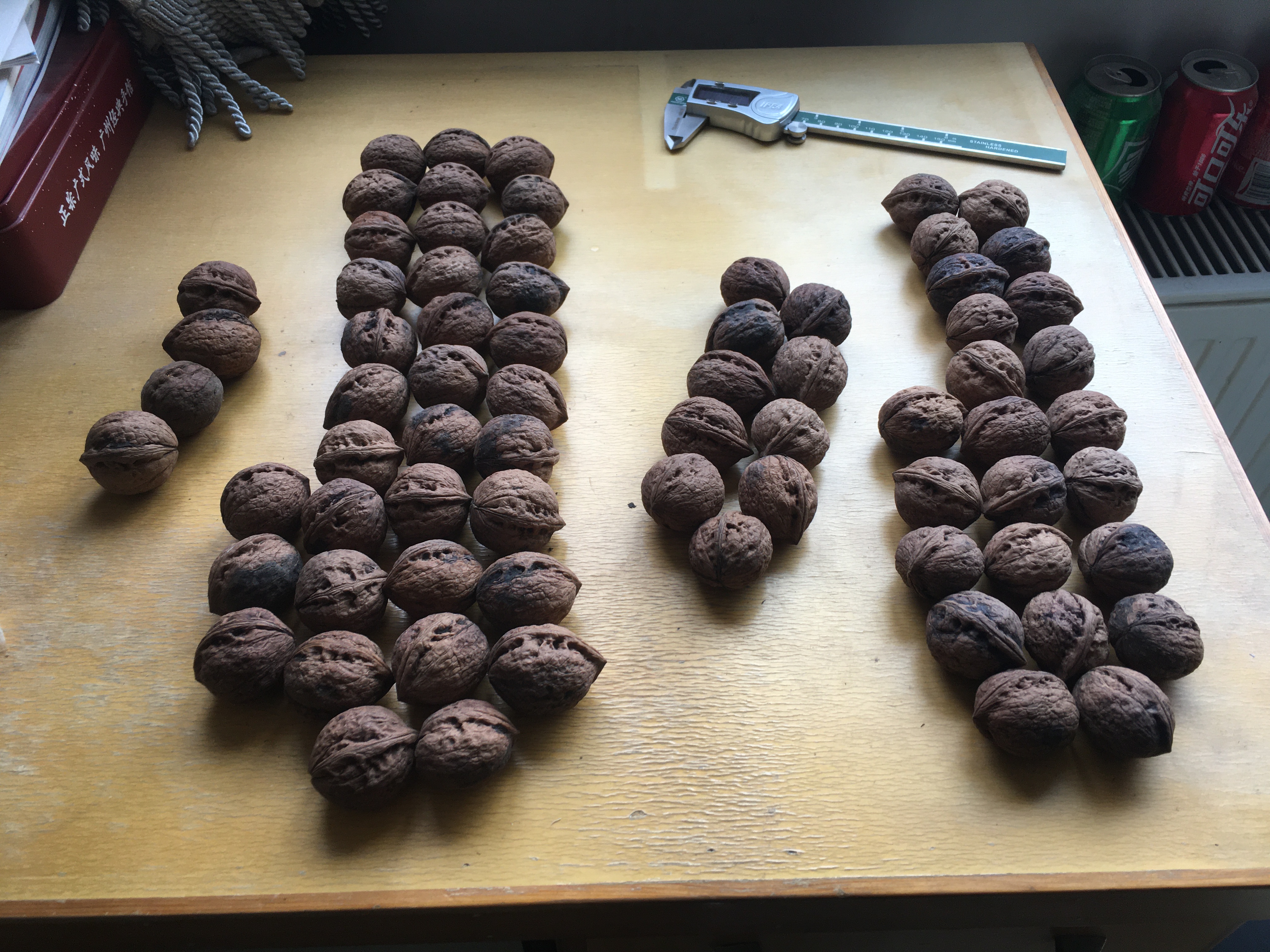 风氏文玩收藏馆：铁核桃——大理鸡心