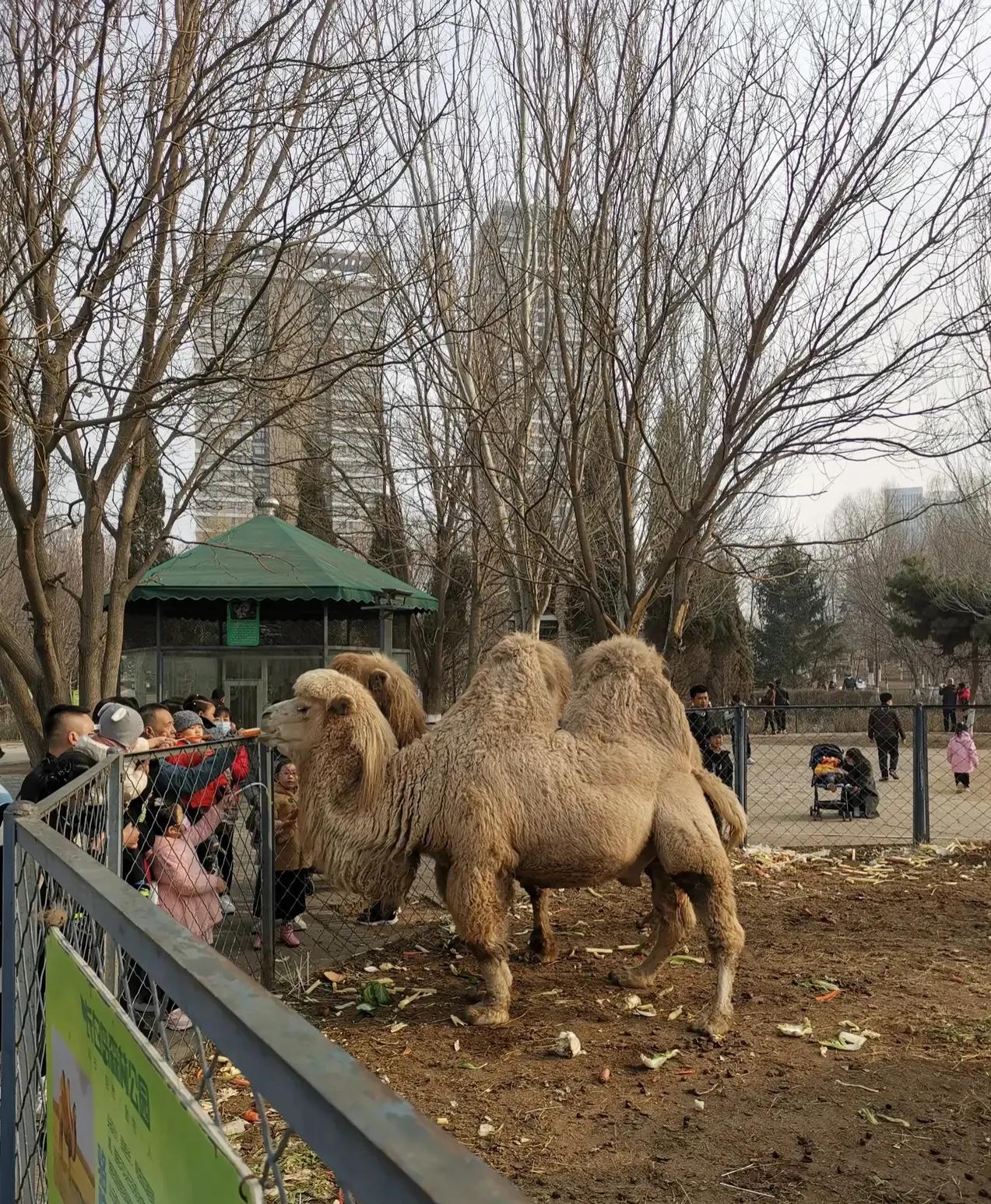 夏日沈阳旅游攻略路线推荐,沈阳清河半岛温泉游玩攻略