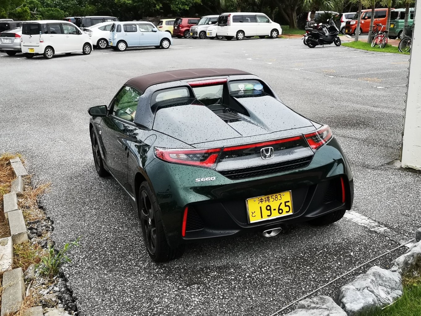 暑期档2019年,2019年暑期档