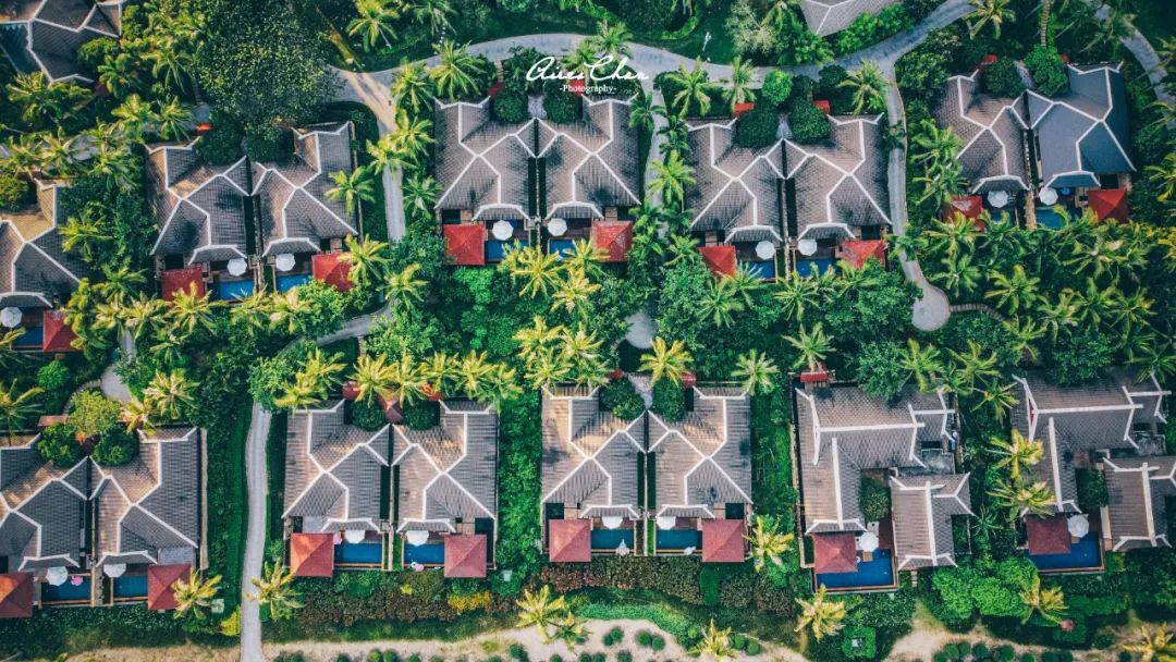 丽思卡尔顿奢华之旅,丽思卡尔顿度假村