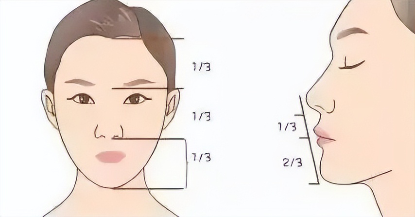 上海九院韦敏做下巴,九院韦敏个人资料