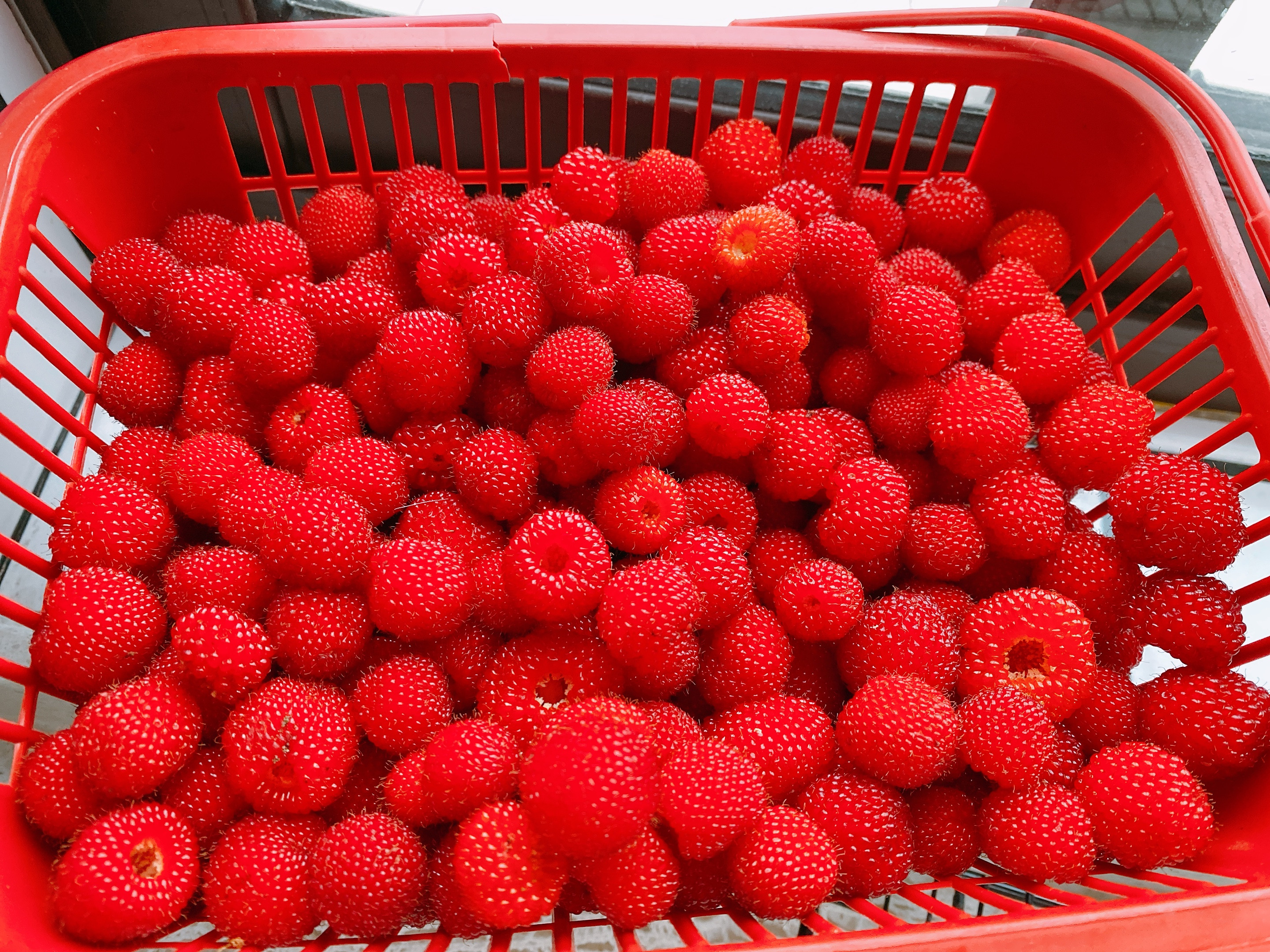 4月份适合吃的应季水果,夏季6月应季水果有哪些