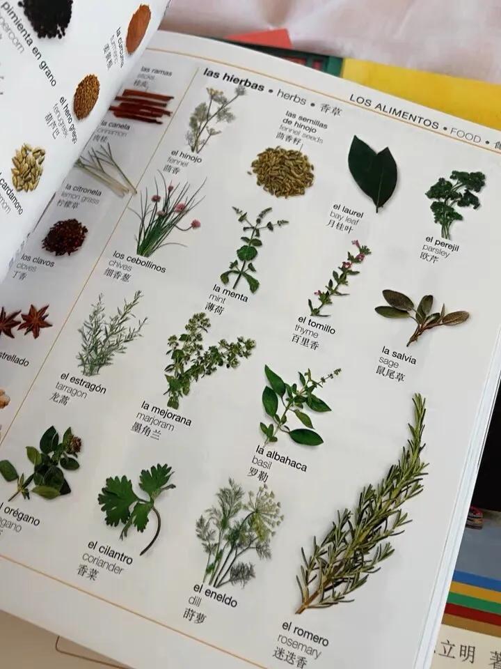 零基础学西班牙语的经典教材,入门西班牙语自学书籍推荐