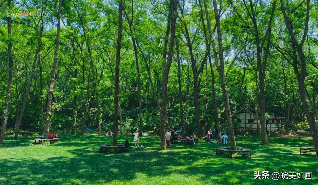 小众目的地冷门避暑景点,皖北地区避暑胜地有哪些