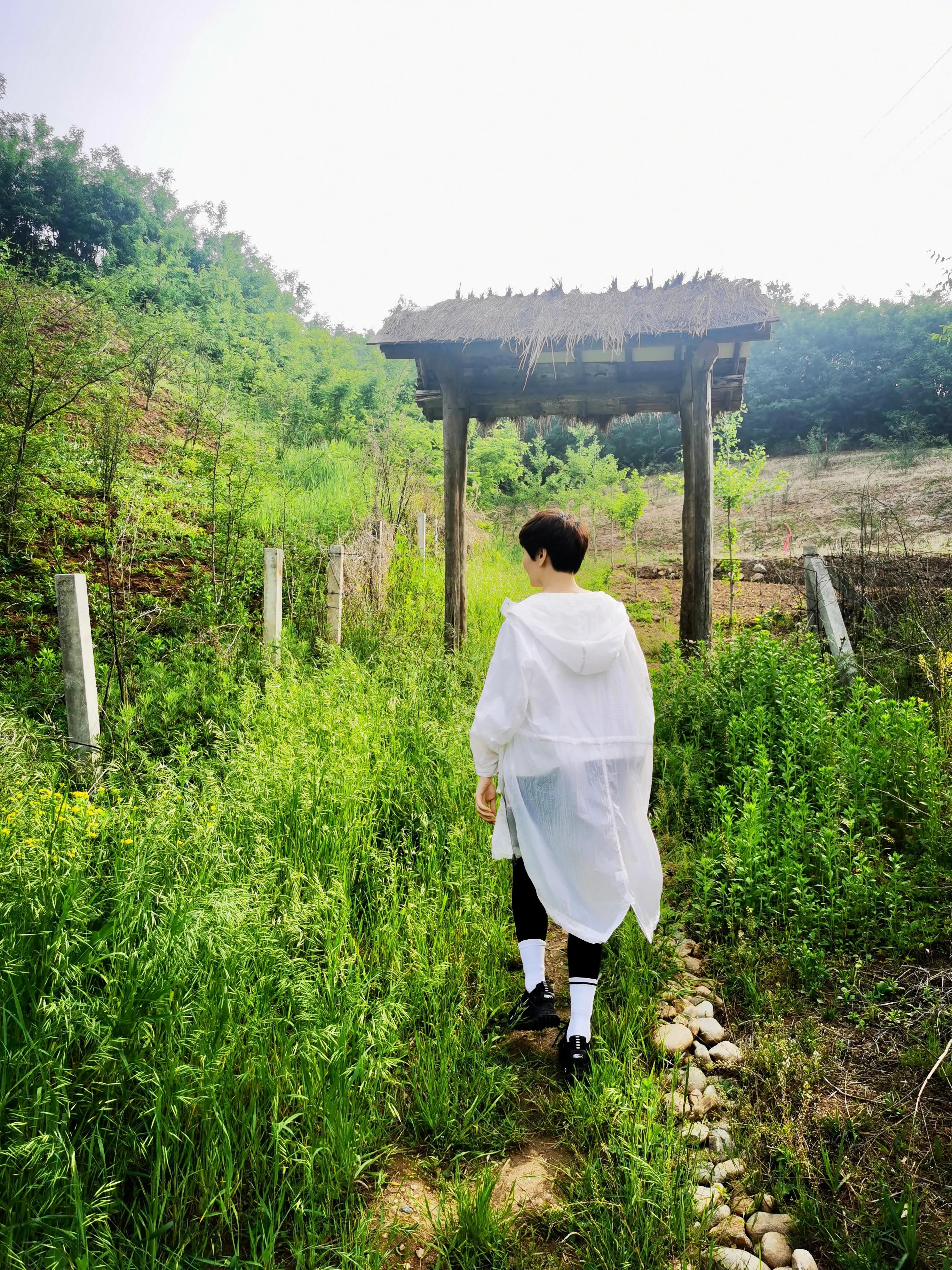 鲤鱼沟自驾游攻略,蓝田关中环线绕山路