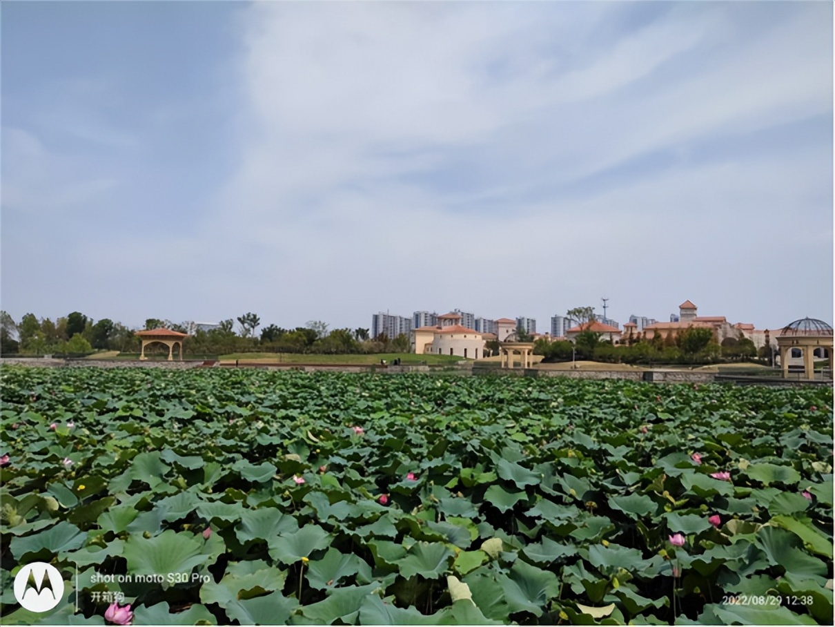 motos30pro缁埅鎷嶇収璇勬祴,motos30pro鎷嶇収娴嬭瘎