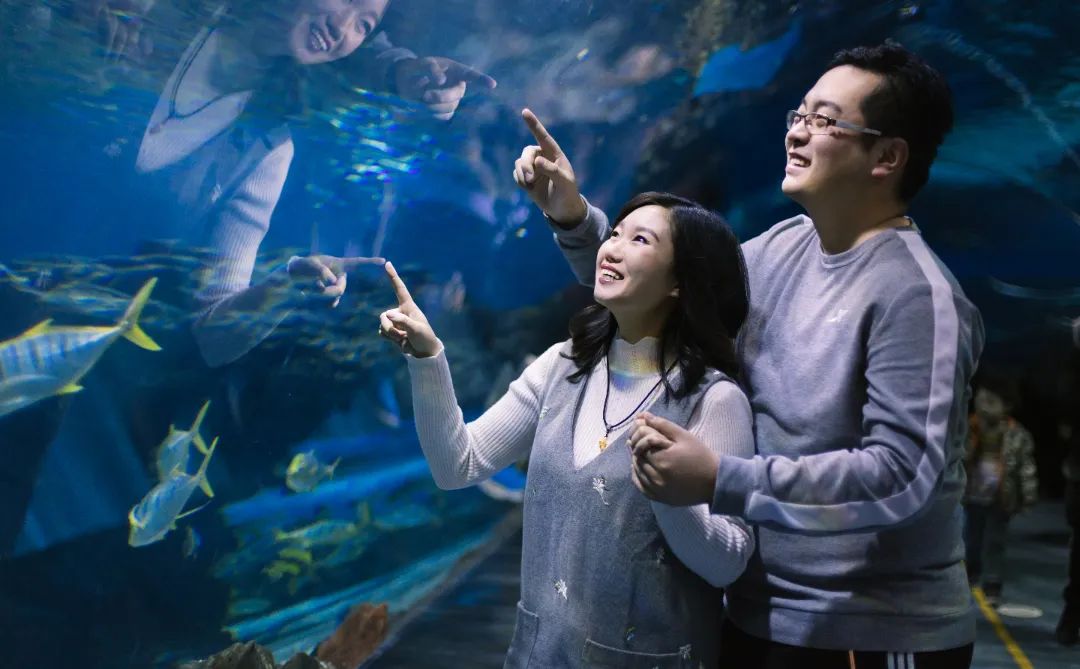 天津遛娃圣地,天津周末免费遛娃好去处