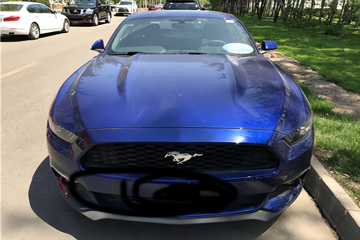 无免费托运行李额托运怎么收费的,托运站托运东西是怎么收费