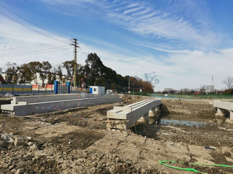 春风又绿江南岸原片,春风又绿江南岸张蓓蓓