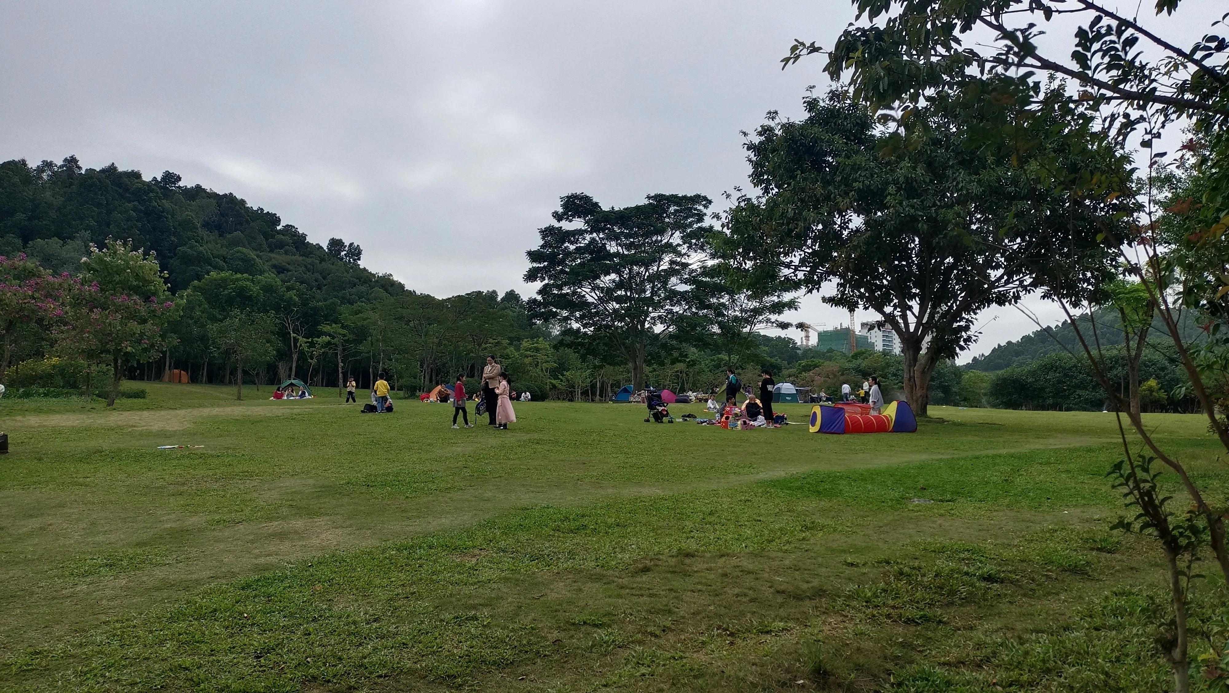 治疗心衰的名中医有哪些,心衰中医能治好吗