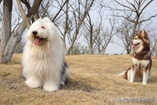 爆笑幽默笑话大全妙趣横生笑翻了,幽默笑话大全笑一笑