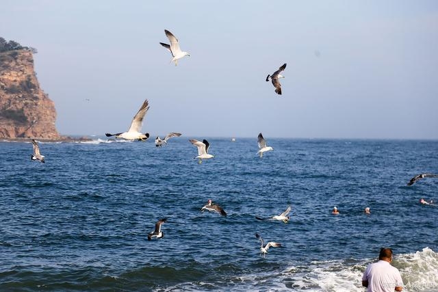 大连三天两夜旅游团多少钱,大连五日游旅行社报价