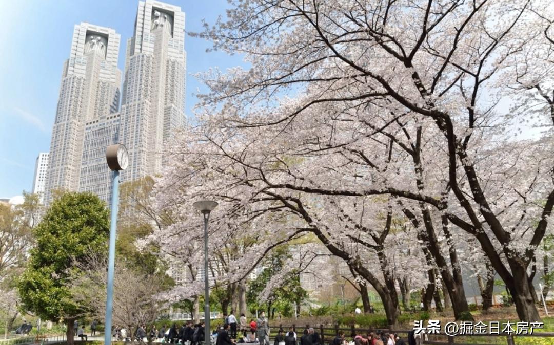 日本东京都丰岛区东长崎公寓,日本东京大田区公寓