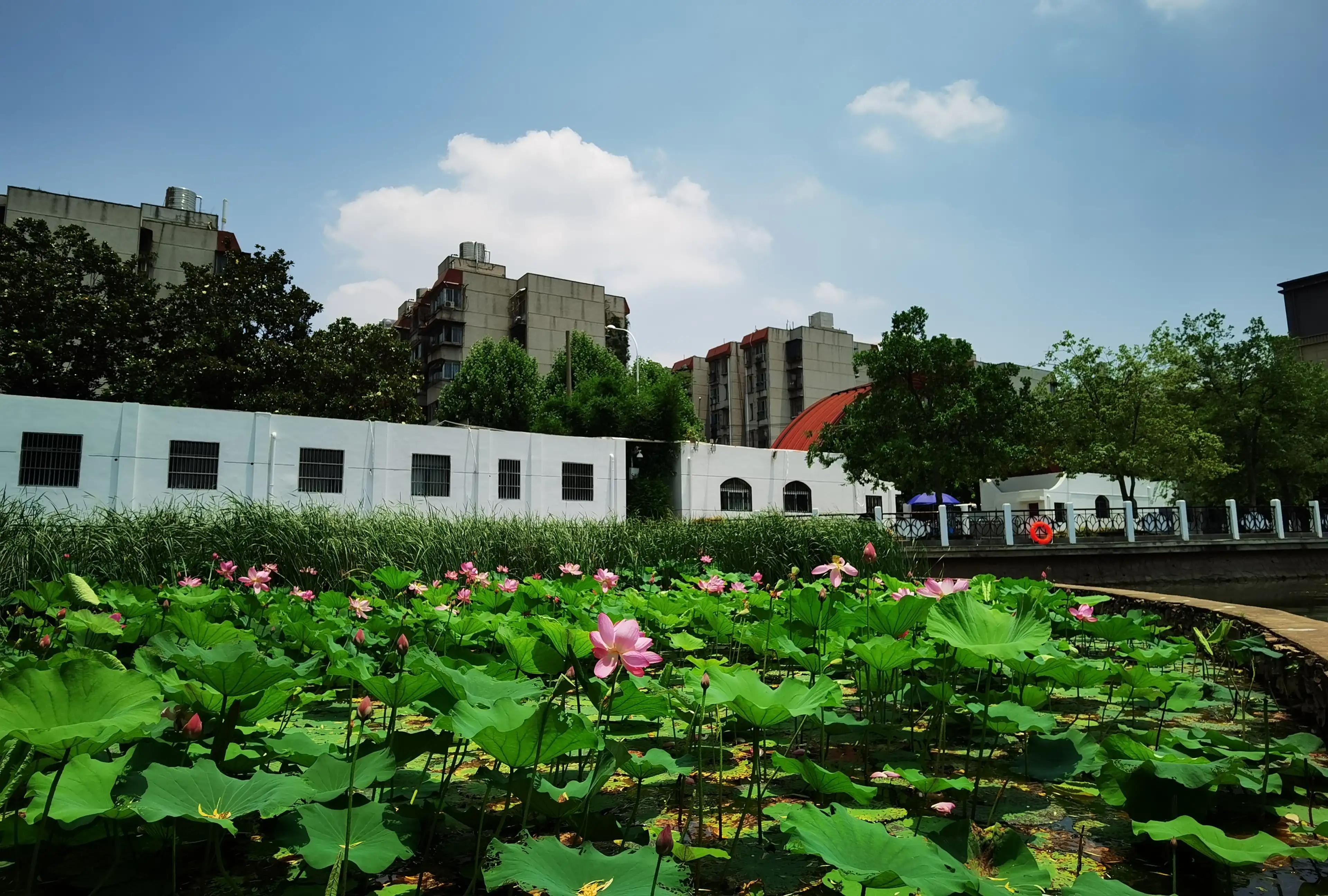 武汉四美塘公园开园了吗,四美塘公园和武昌生态文化长廊