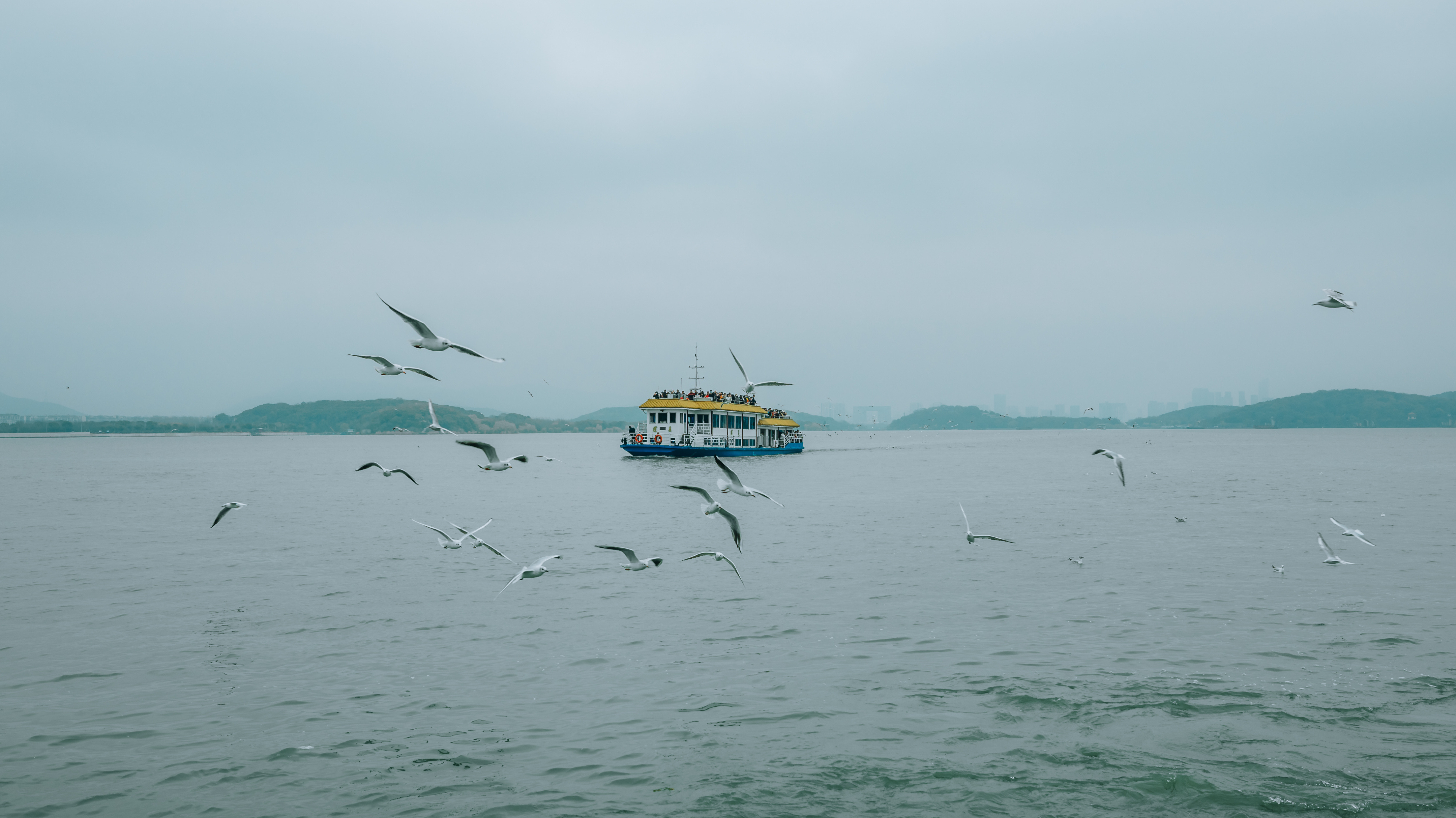 鼋头渚樱花盛宴比日本更令人沉醉,太湖鼋头渚樱花美如画