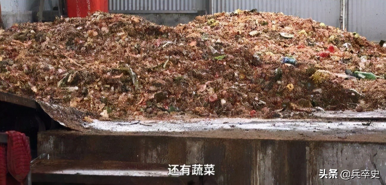 养蟑螂年入百亿,养8亿蟑螂年入百亿