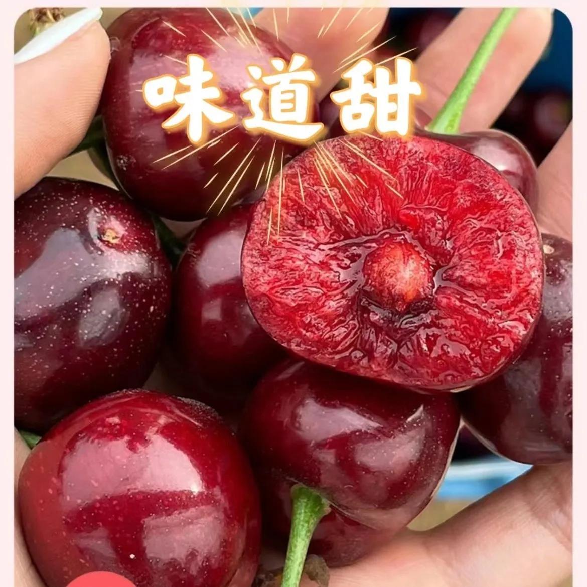 农村种植高钙果,钙果种植致富方法