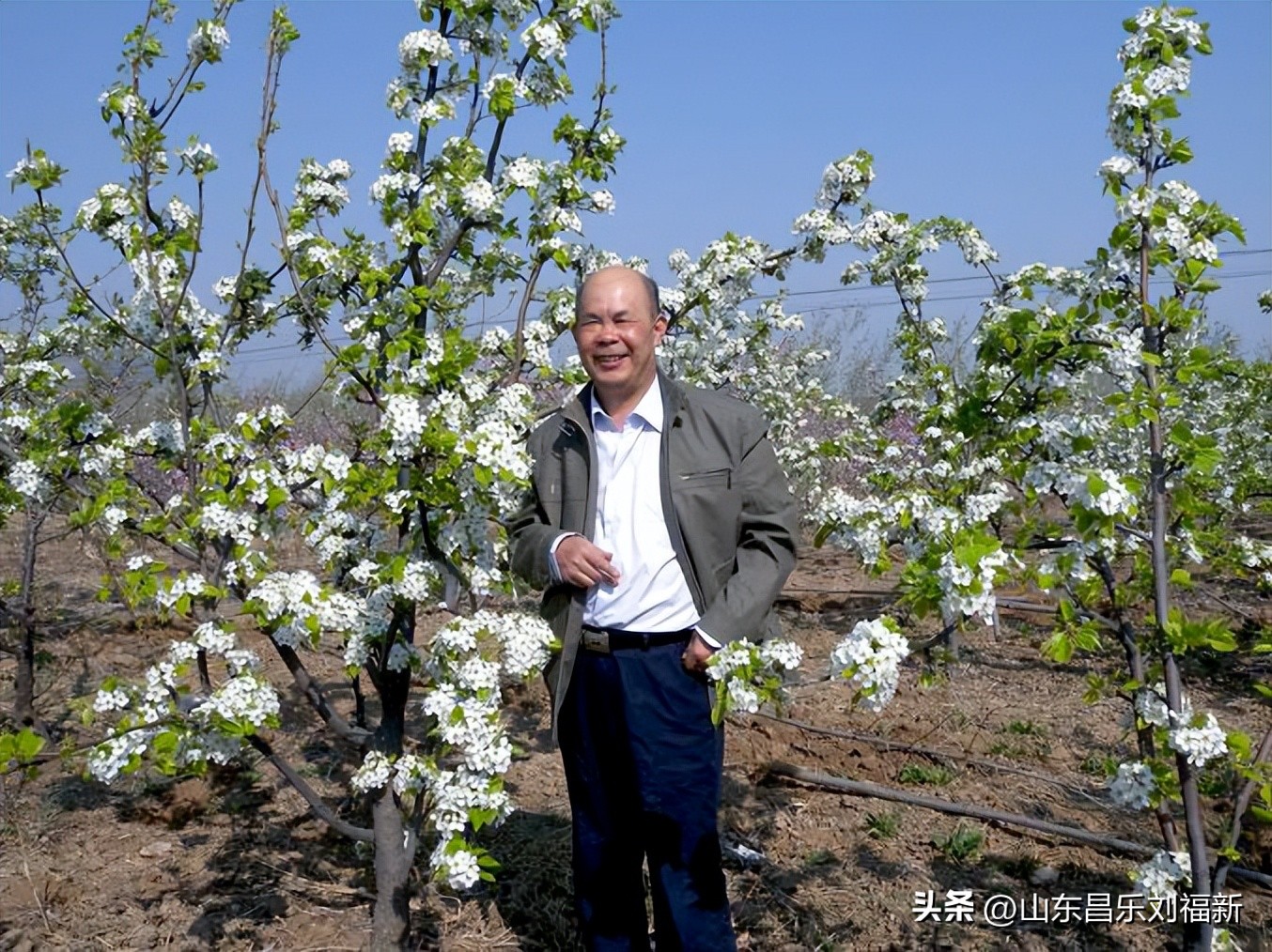 绝句近体诗一首,近体诗七绝