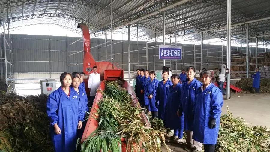 小型加工厂项目农村3万元左右,投资4-5万元的农村小加工作坊