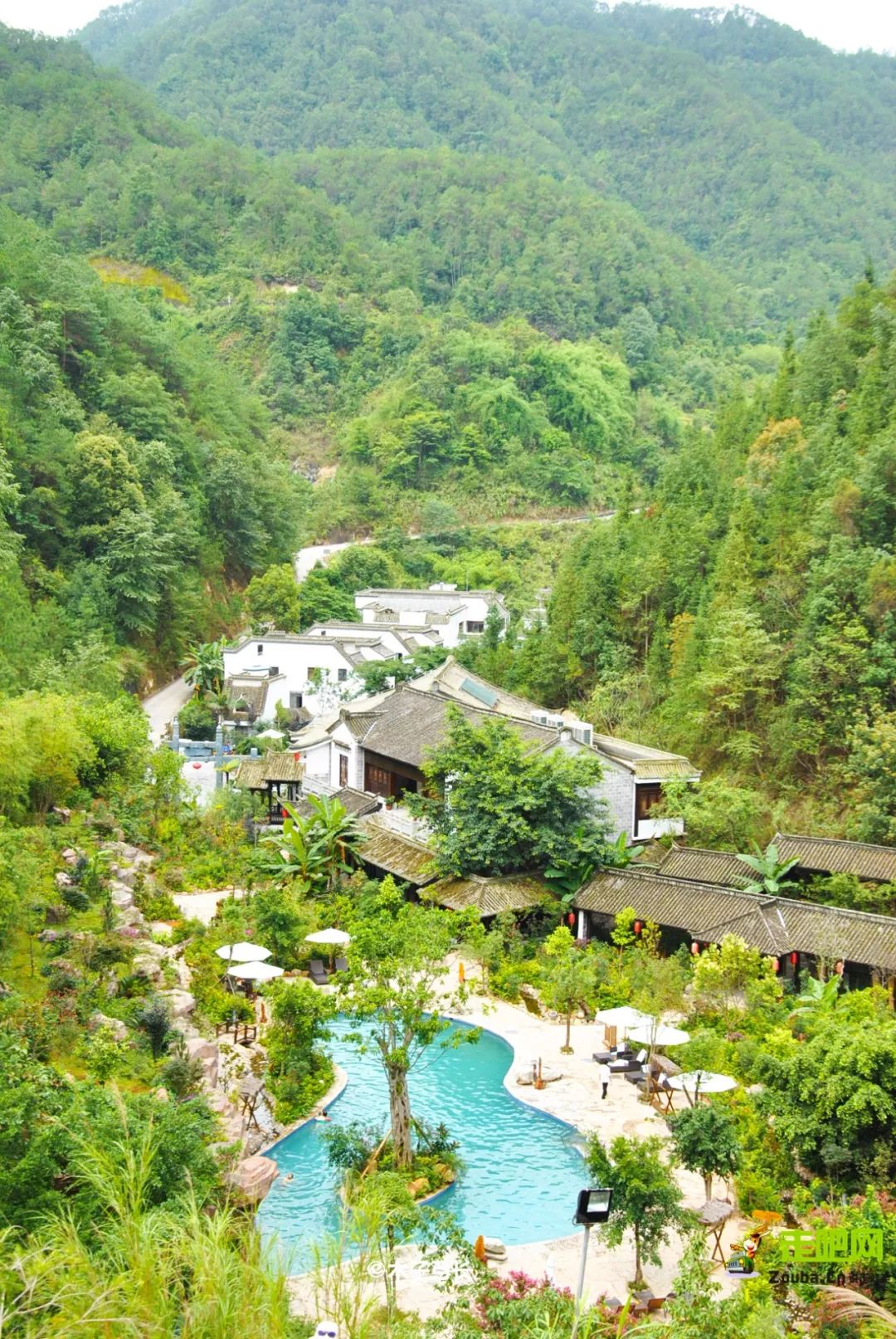 年度最佳22℃暖冬小城!全国唯一半城银杏,半城温泉!现在来刚好