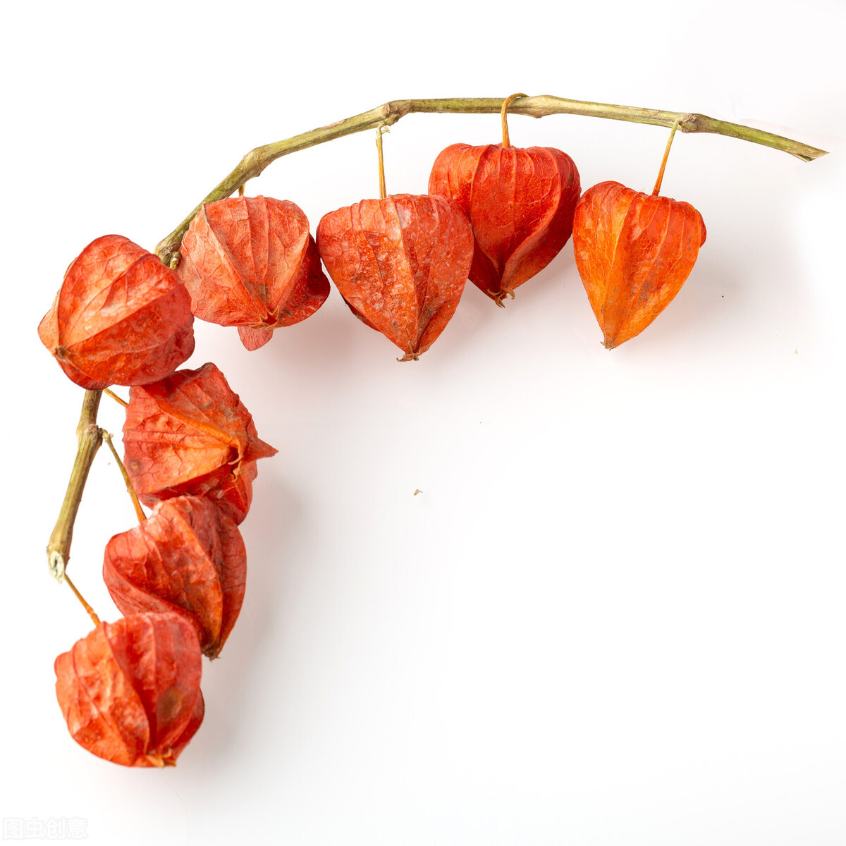 东北十大特产山货有哪些,秋冬季有啥山货