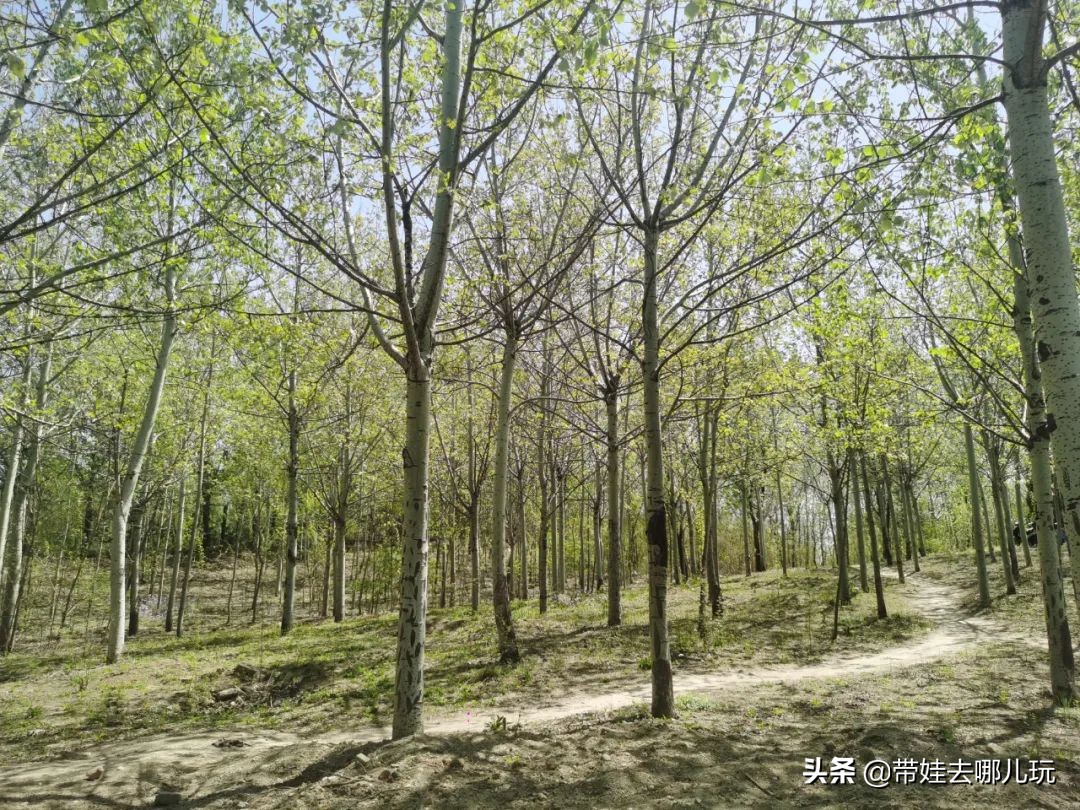 盘点各城市的骑行绿道,北京朝阳区39公里绿道将开放骑行