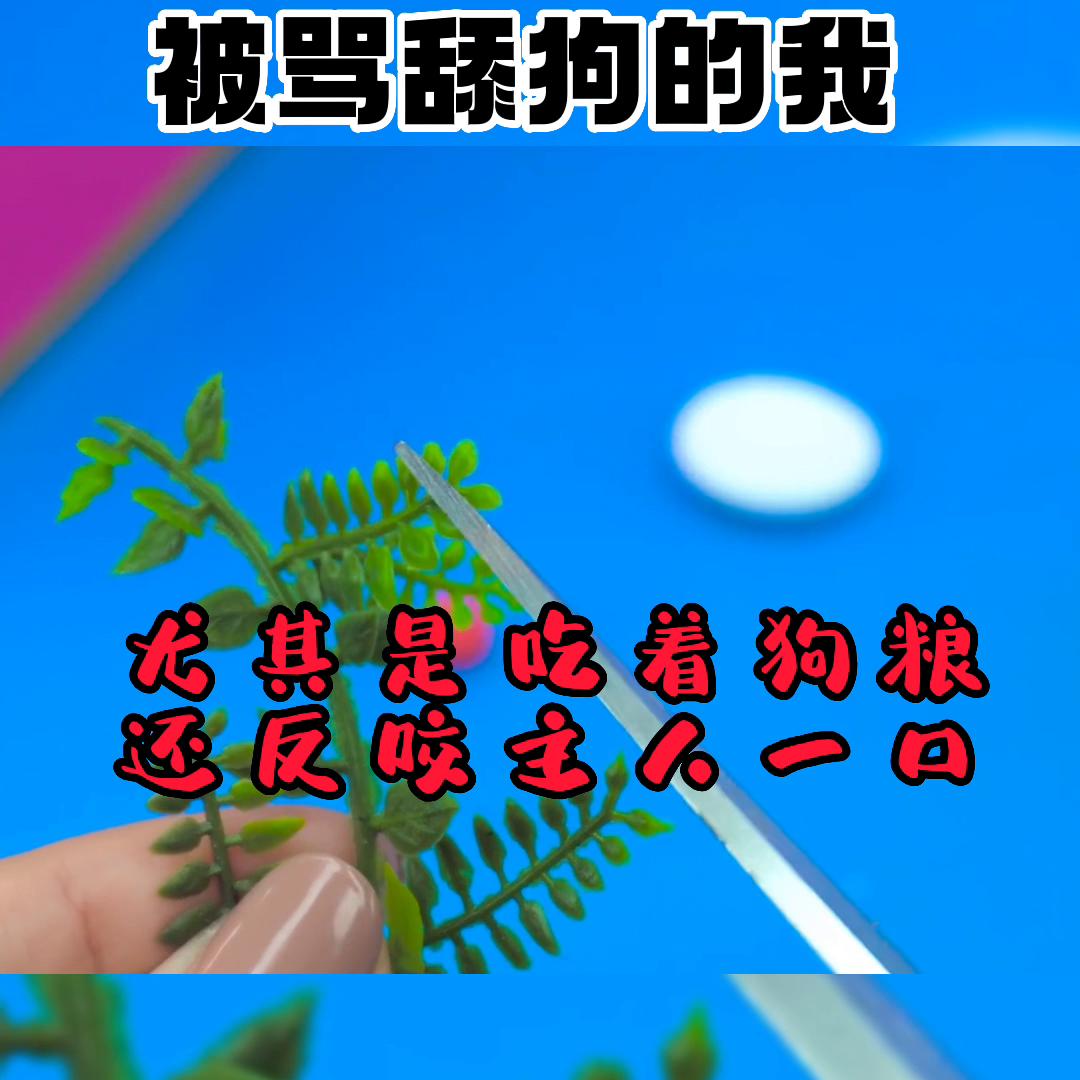 极度舒适的轻音乐,极度舒适助眠