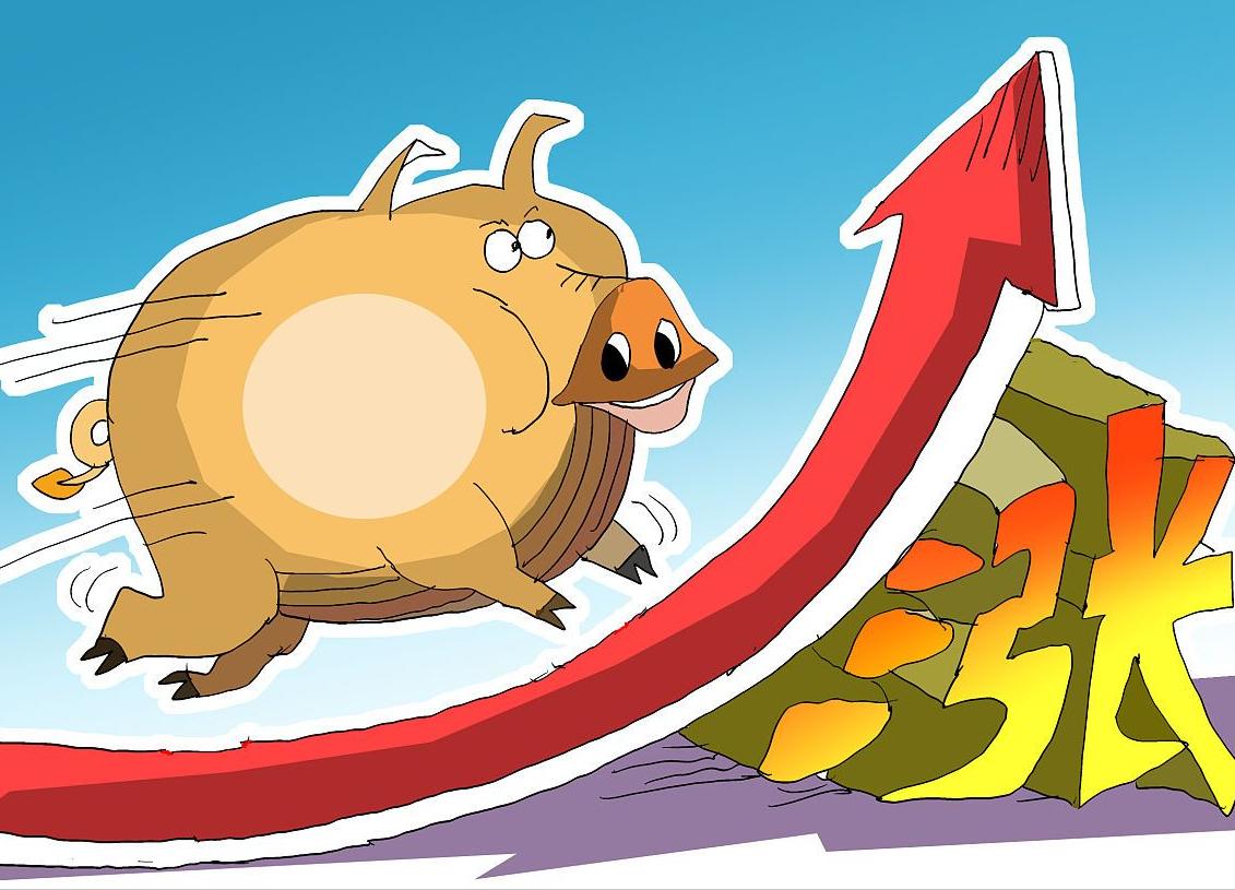 猪价是涨还是跌明天生猪价格表,今日猪价未来15天的生猪走势