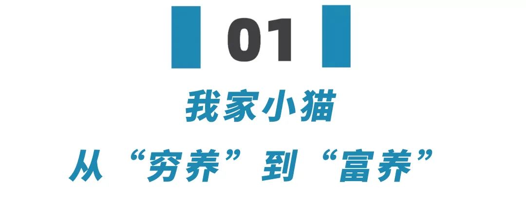 穷养富养不如爱自己,穷养自己富养妻完整版