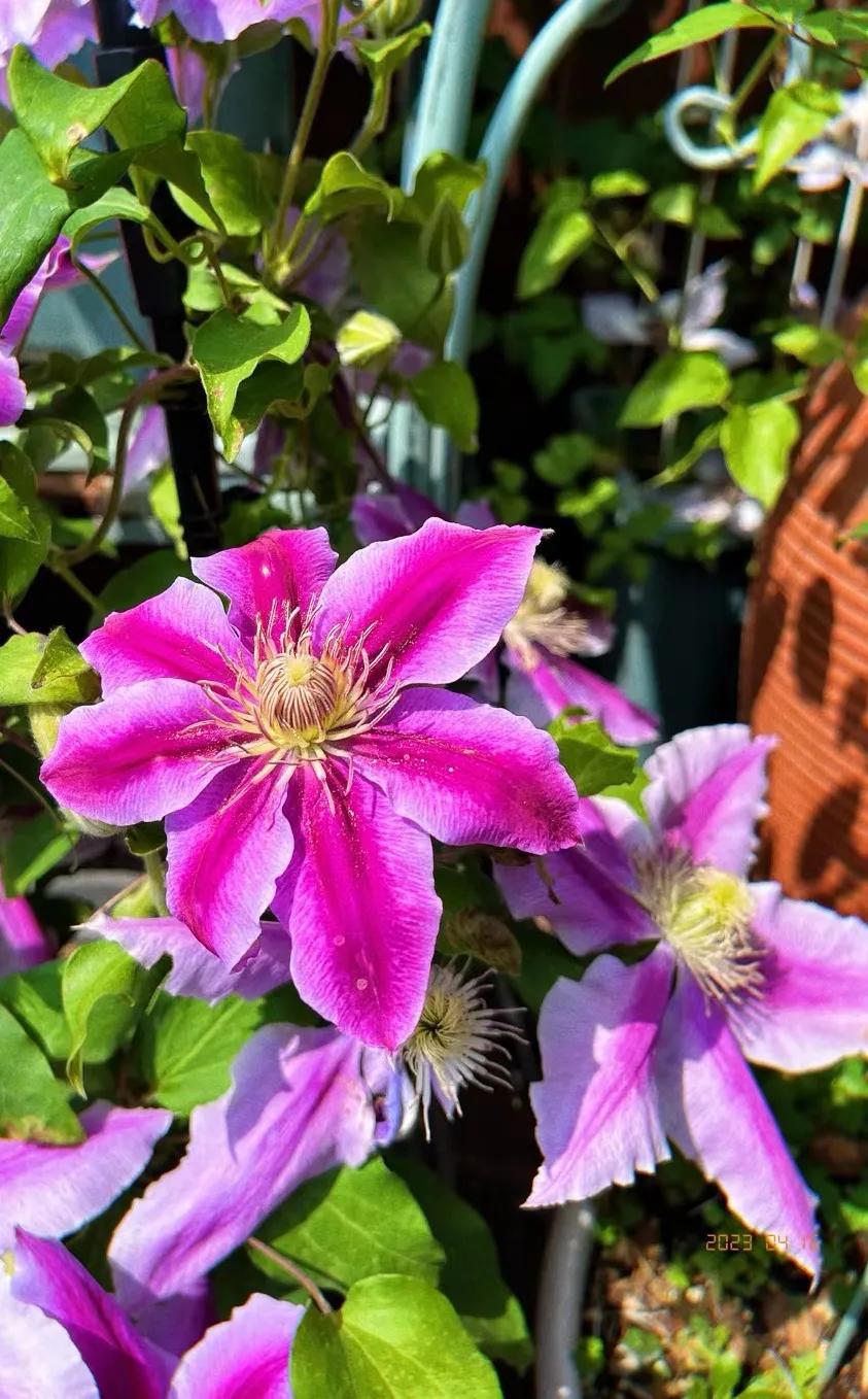 童言稚语记录,童言稚语200字