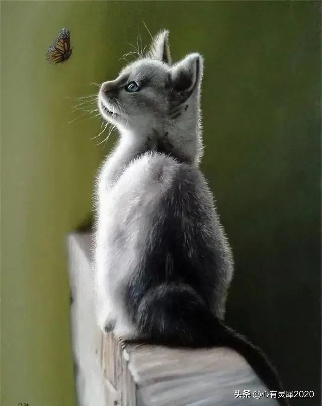 意大利艺术家伊万皮利,其充满“大爱”的人物视觉盛宴,令人惊叹