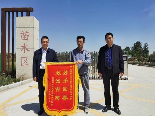 李义文：研制“植物疫苗”能把“死树”救活