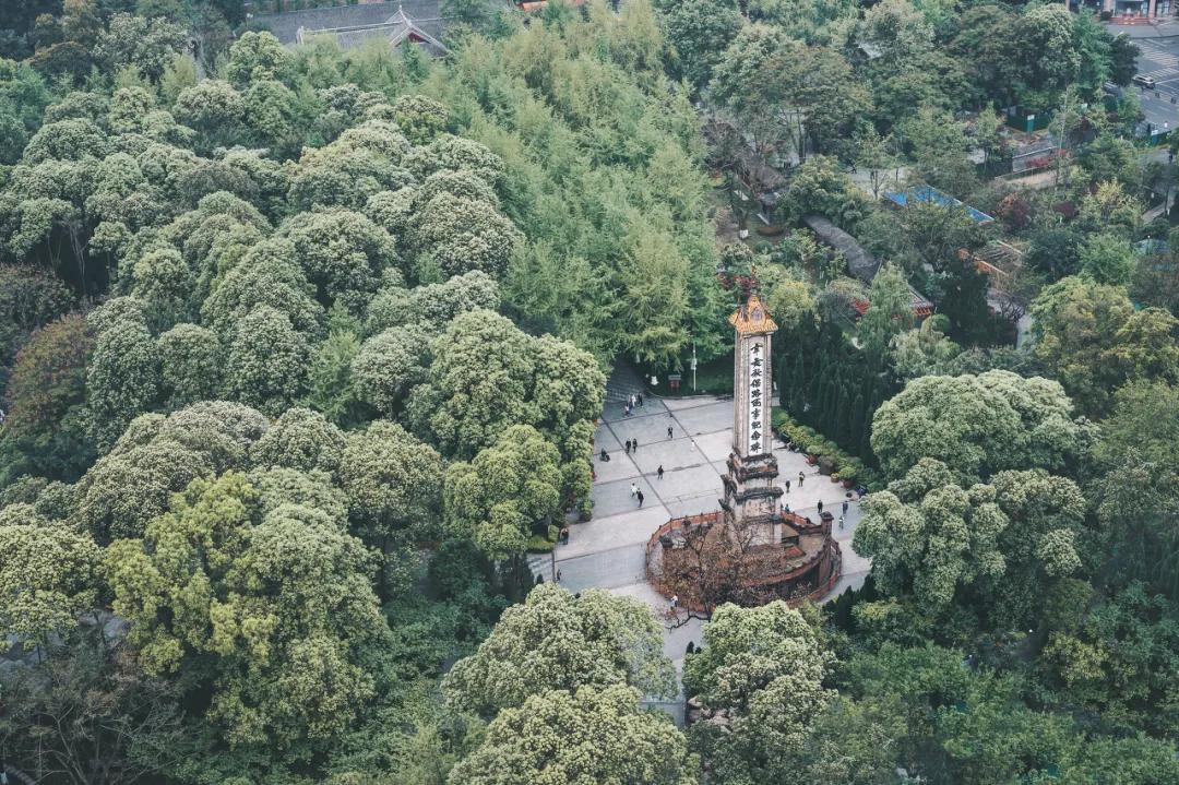 成都住哪里便宜又方便攻略,成都待半个月怎么住最划算