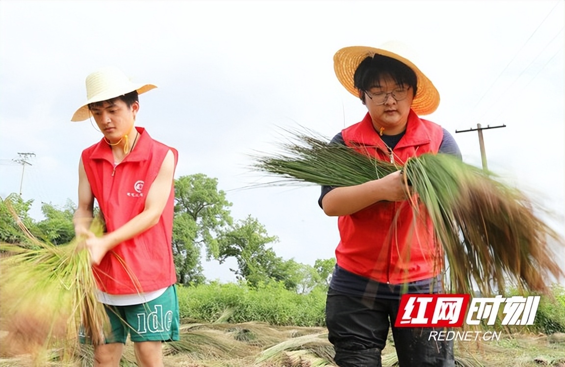 助农电商助力乡村振兴,投身农村电商助力乡村振兴