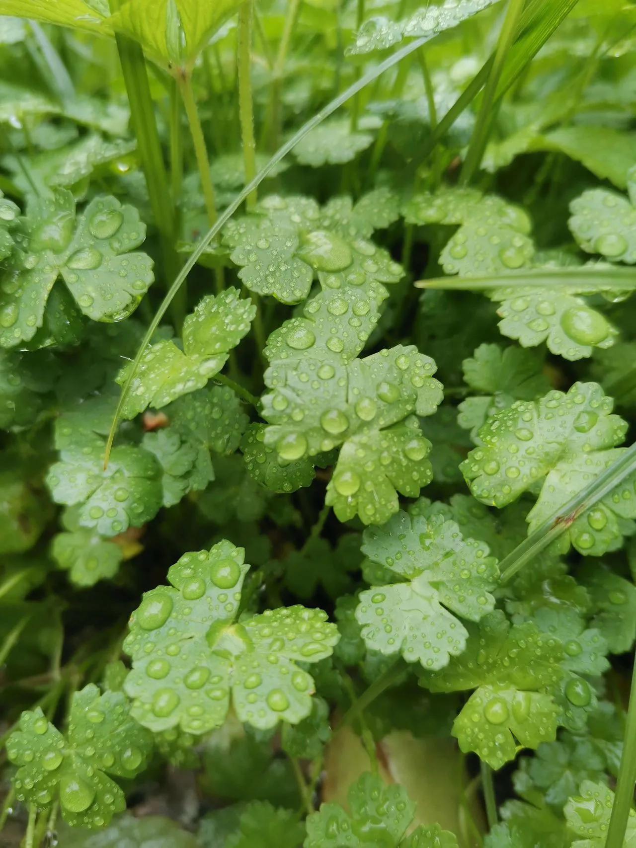 工业互联网大赛,工业互联网平台