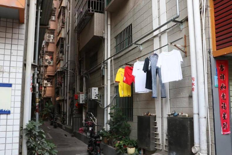 深漂回家找工作,深漂后的北漂