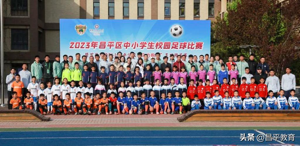 赋能于师丨城区学区在行动!