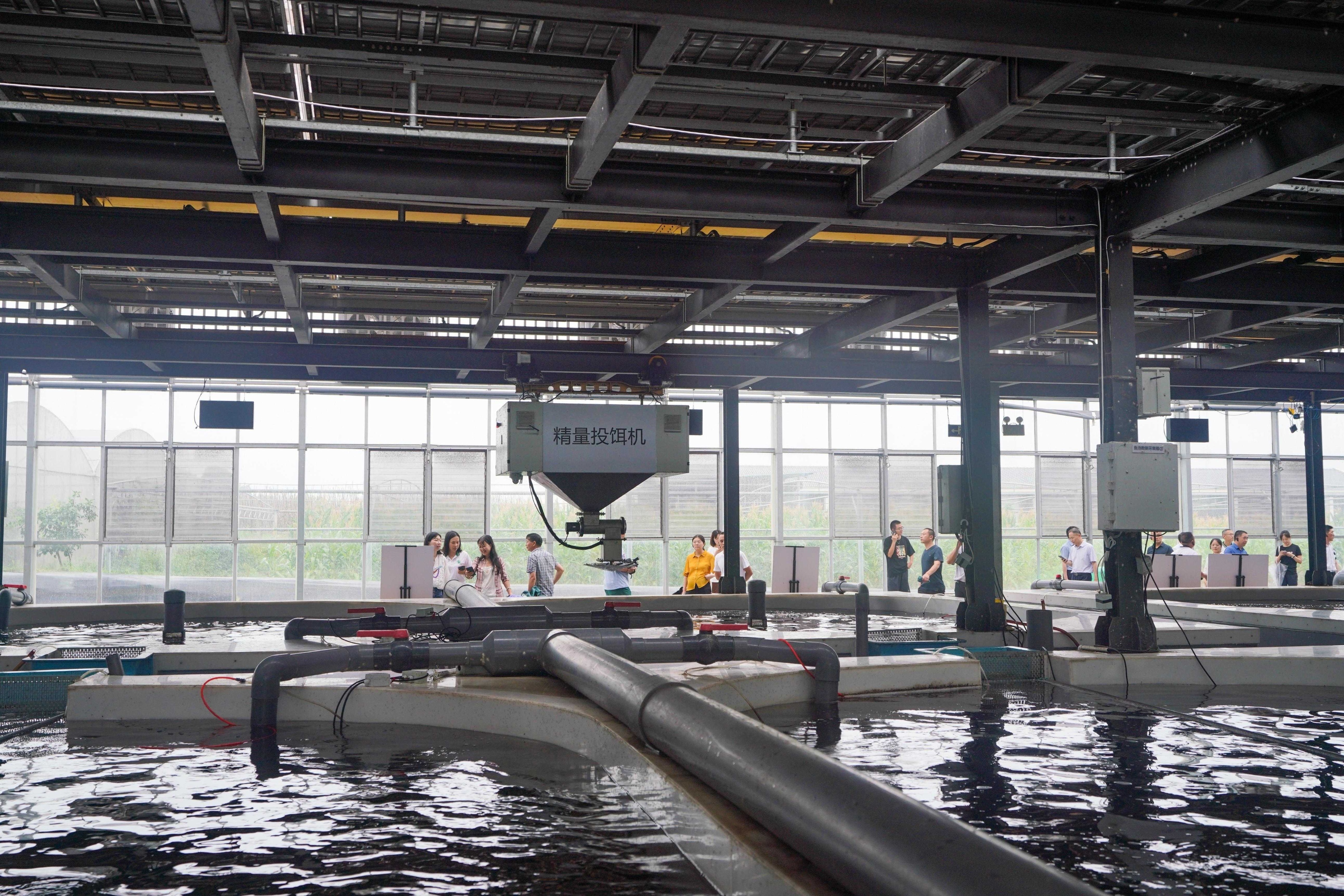 走进重庆现代农业高科技园区科技创新让农业“高大上”